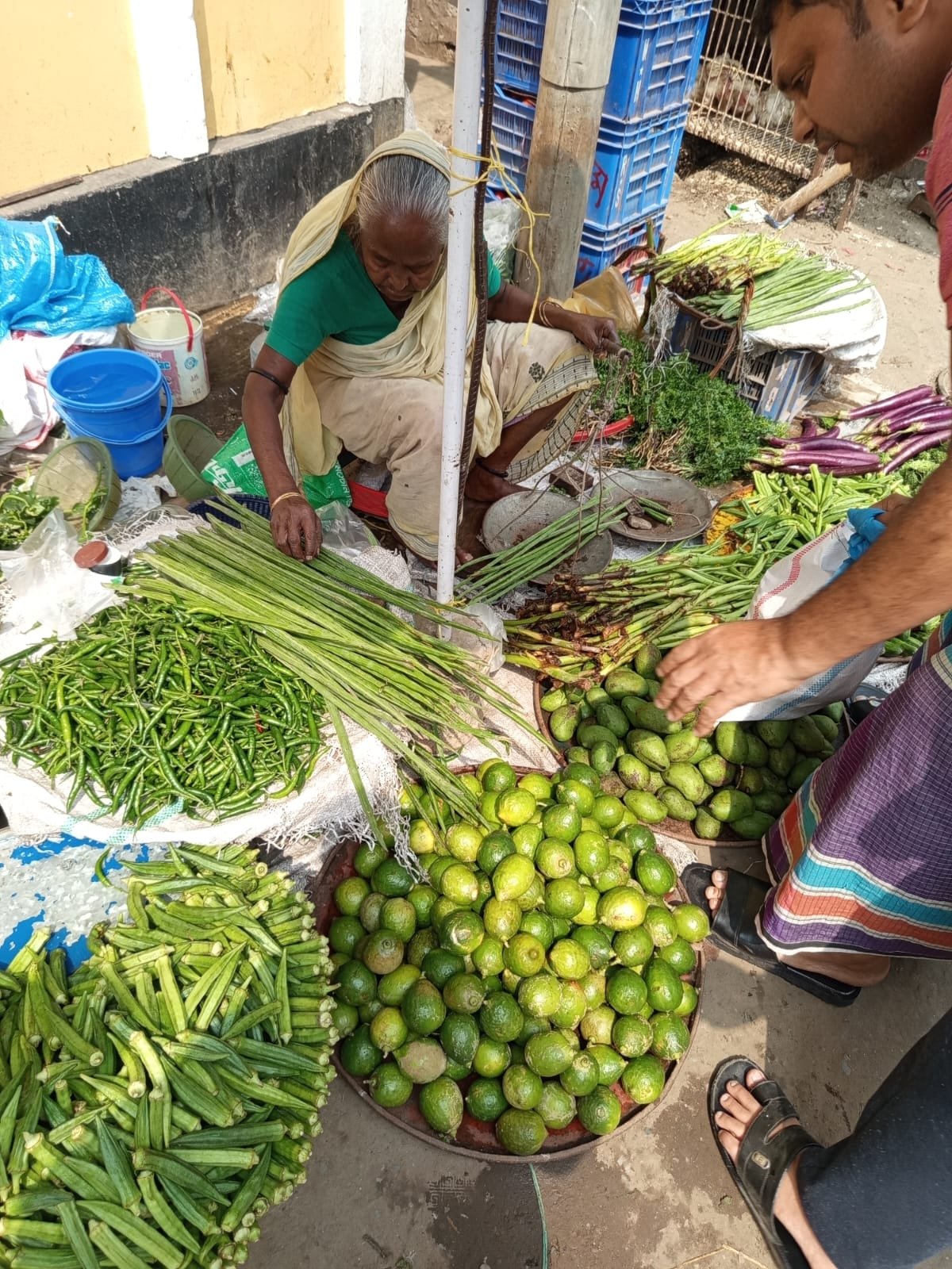 Small Livelihood Support for Three Families: Donation Closed - Target Reached.